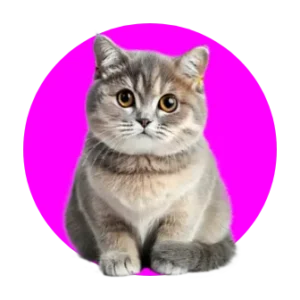 مکمل غذایی کربه